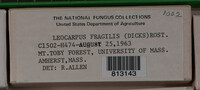 Image Associated With the Occurence